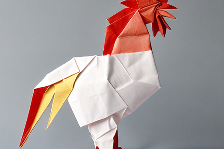 Zoho Deluge: Search Records with Special Characters (COQL)